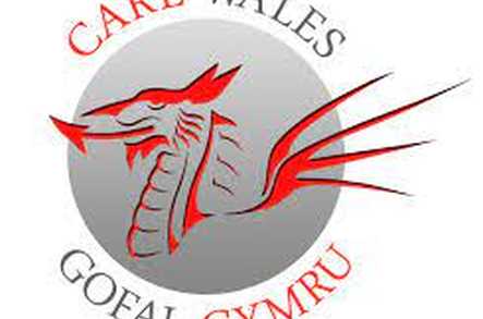 Care Wales Gofal Cymru Home Care Cardigan  - 1