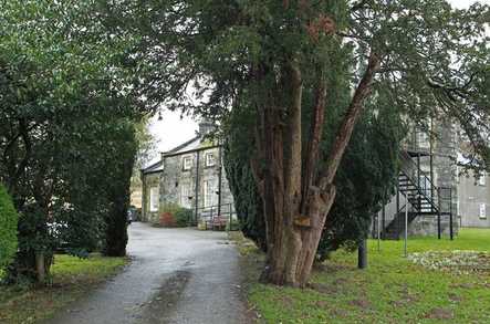 Cartref Bryn yr Eglwys Care Home Betws-y-coed  - 1