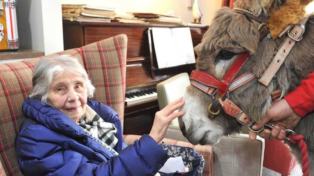 Cavell Court Care Home Norwich activities-carousel - 2