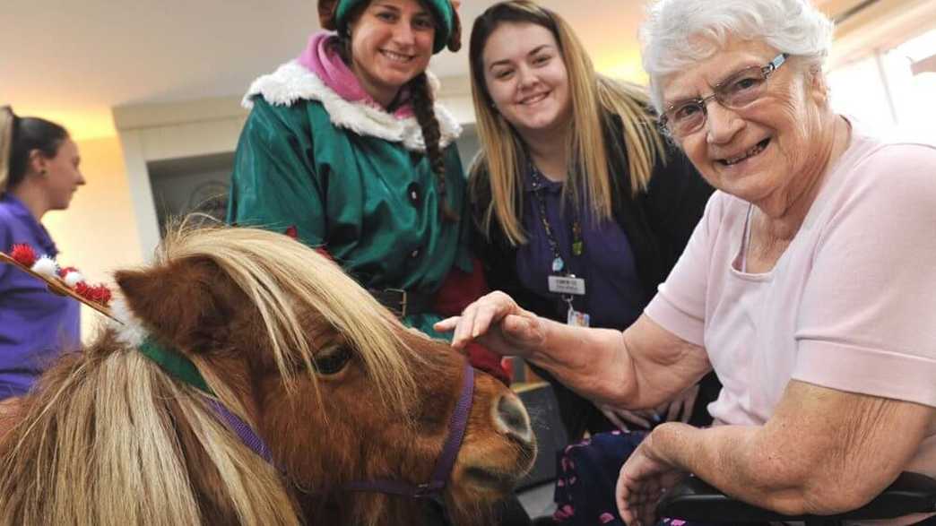 Cavell Court Care Home Norwich activities-carousel - 3