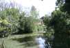 Capel Grange Residential Home - 4