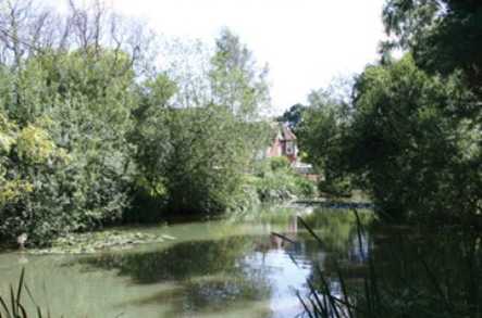 Capel Grange Residential Home Care Home Tonbridge  - 4