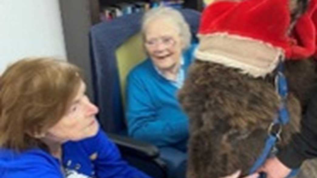 Clevedon Court Nursing Home Care Home Clevedon activities-carousel - 6