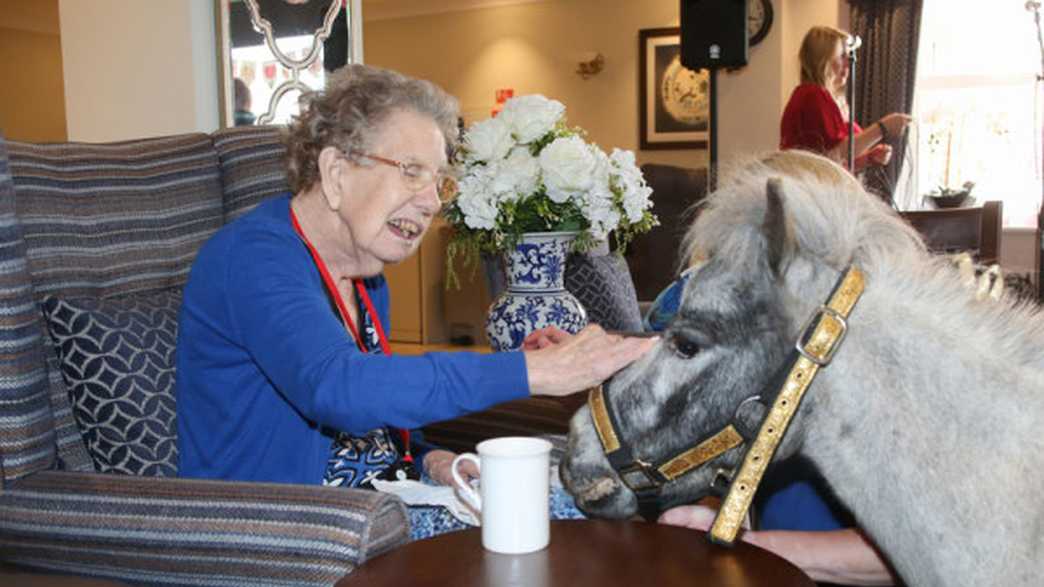 Chetwynd House Care Home Nottingham activities-carousel - 3