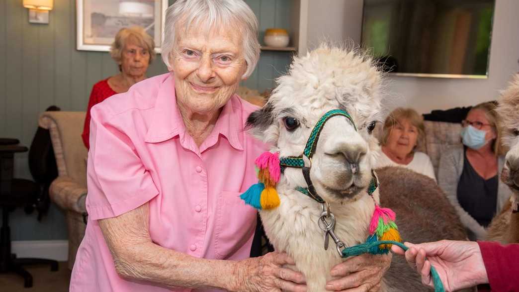 Chichester Grange Care Home Chichester activities-carousel - 1