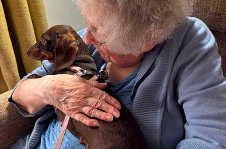 Claremont House Care Home Care Home Beverley  - 2