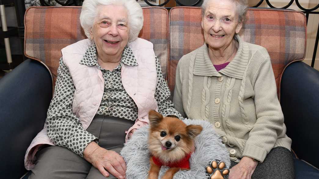 Colne View Care Home Halstead activities-carousel - 5