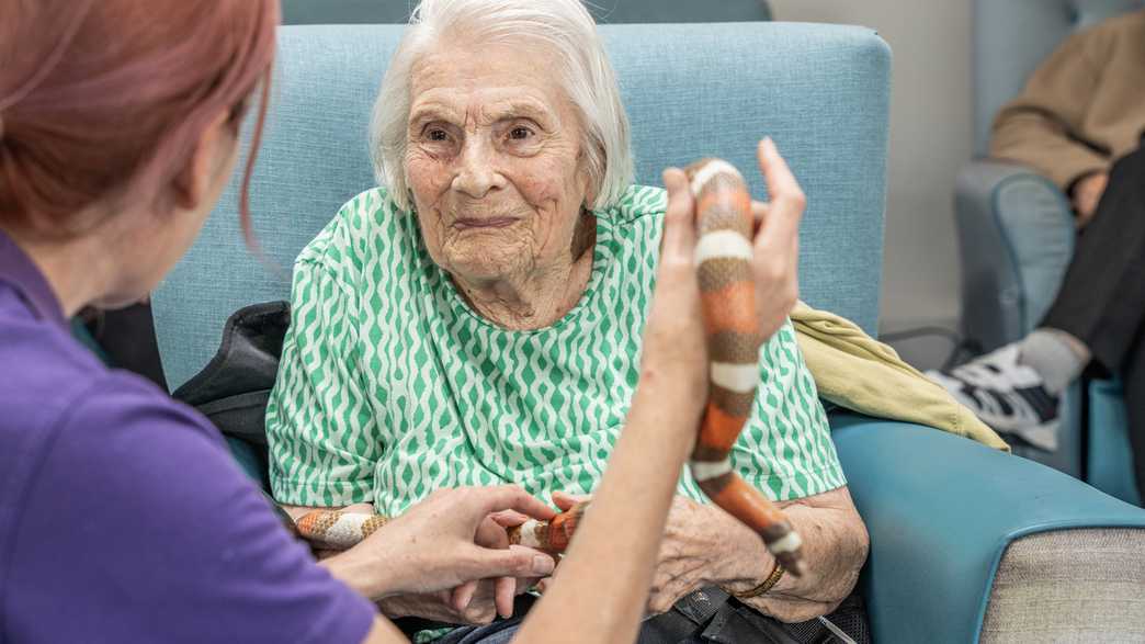 Kingland House Residential Home Care Home Poole activities-carousel - 5