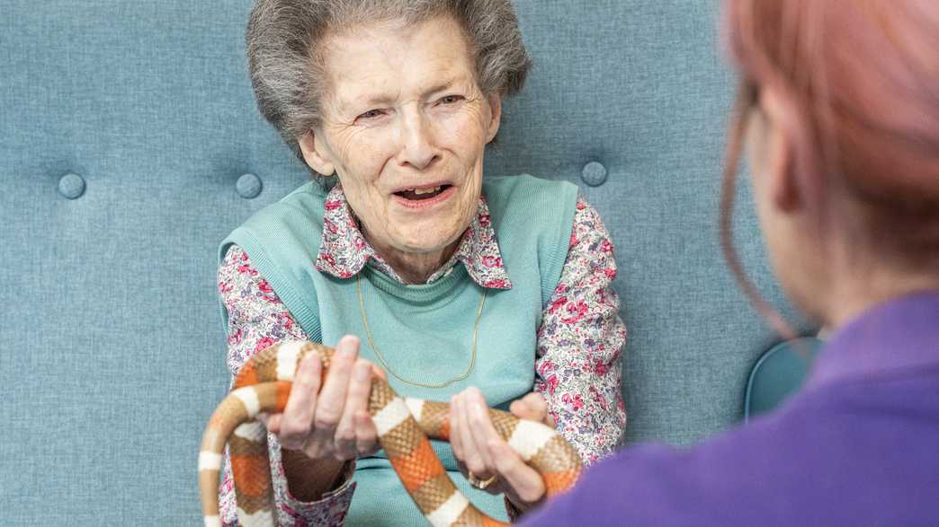 Kingland House Residential Home Care Home Poole activities-carousel - 3