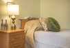 The Firs Residential Home - 3