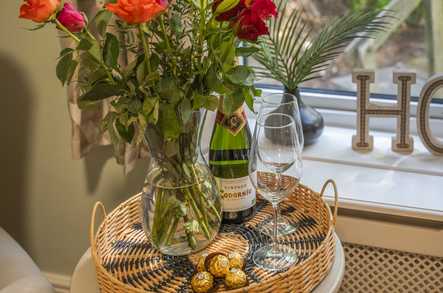 The Firs Residential Home Care Home Budleigh Salterton  - 4