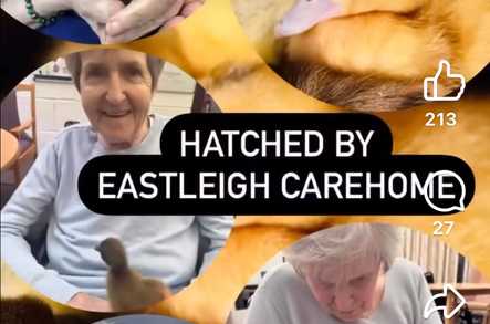 Eastleigh Care Home Care Home Peterculter  - 5