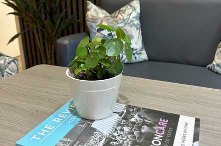 Elmwood Care Home Bromley  - 2