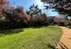 Elmwood - 4
