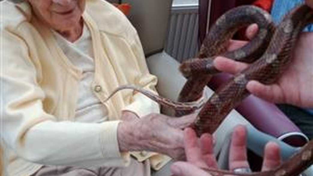 The Old Vicarage Care Home Grange Over Sands activities-carousel - 290