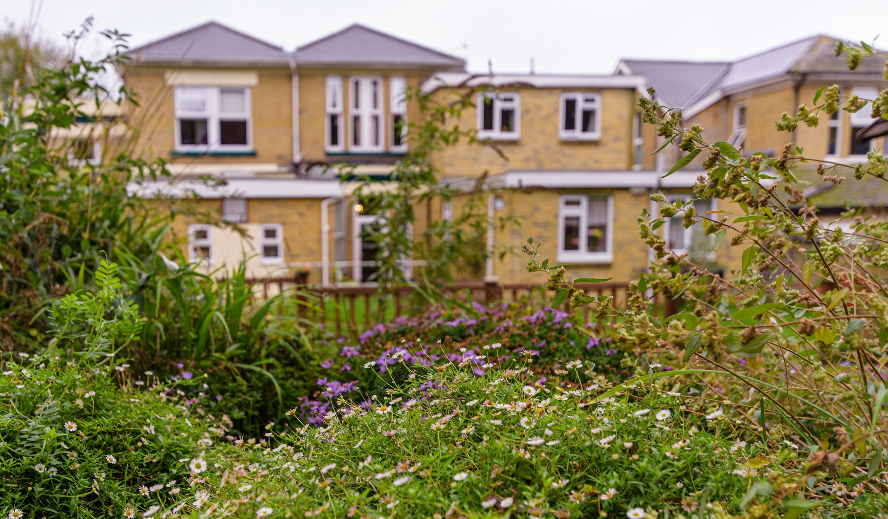 Fairhaven Care Home Care Home Ryde, PO33 1BP