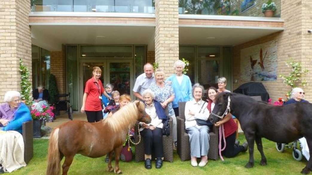 Farnham Mill Nursing Home Care Home Farnham activities-carousel - 3