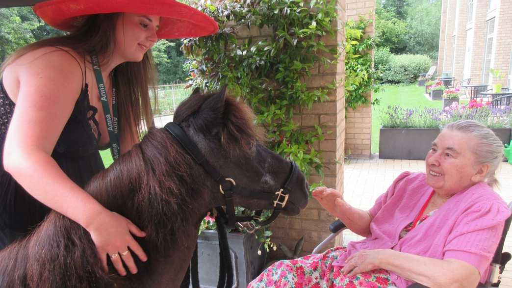 Farnham Mill Nursing Home Care Home Farnham activities-carousel - 4