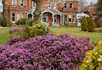 Foxgrove Residential Home - 1
