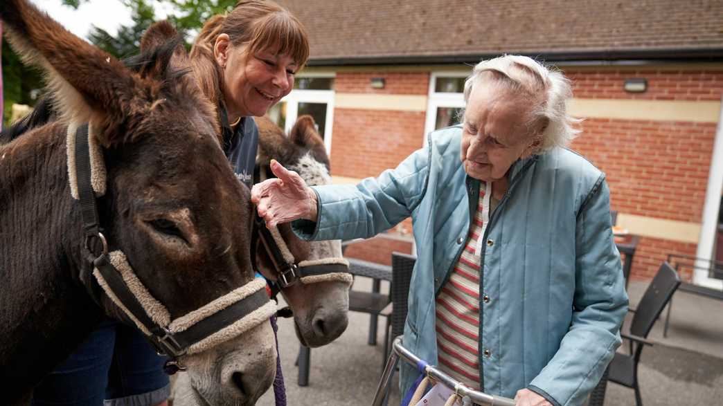 Framland Care Home Wantage activities-carousel - 4
