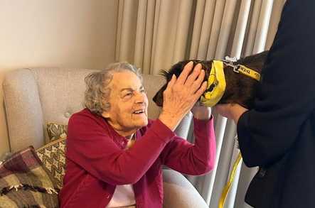 Goldsborough Manor Care Home Care Home York  - 4