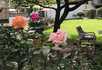 George Potter House - 5