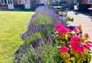 Grangefield Residential Care Home - 5