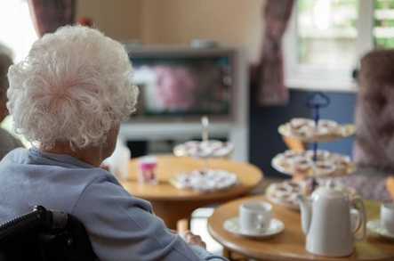 Silver Trees Care Home Care Home Bristol  - 4