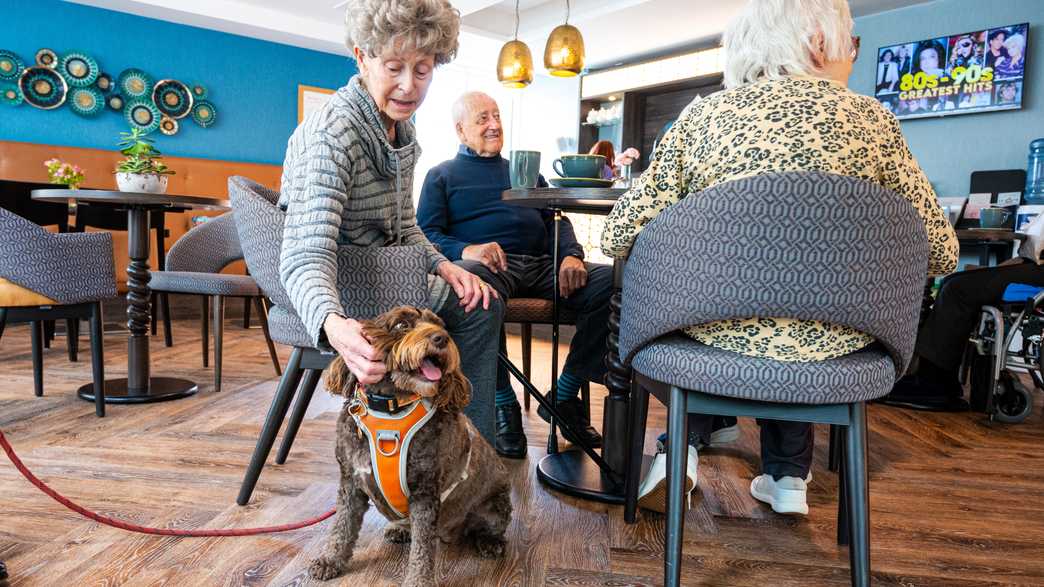 Harcourt Gardens Care Home Care Home Harrogate activities-carousel - 6
