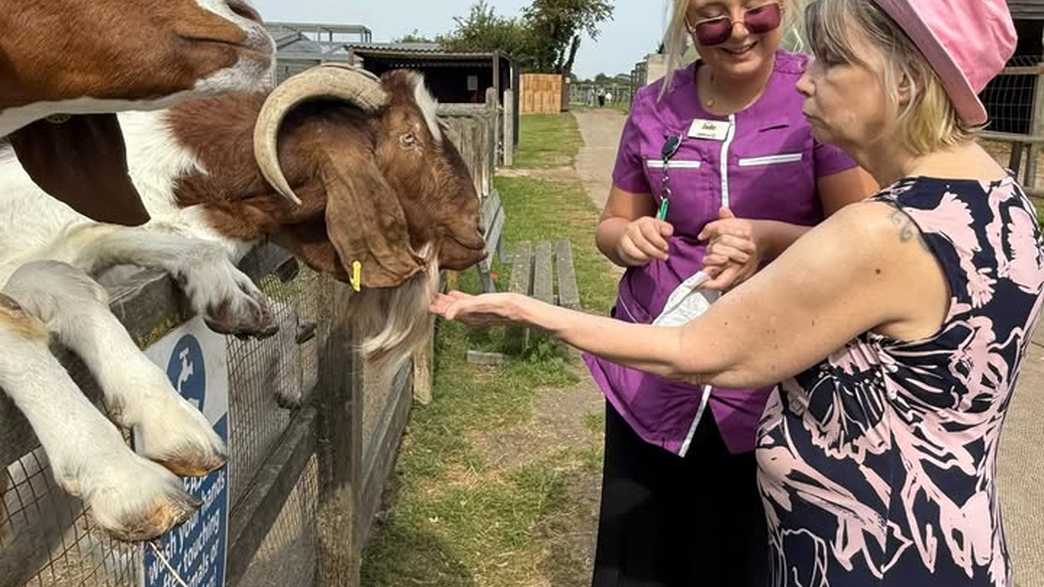 Hartismere Place Care Home Eye activities-carousel - 8