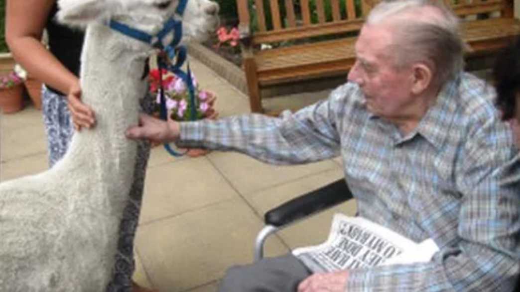 Herncliffe Care Home Care Home Keighley activities-carousel - 1