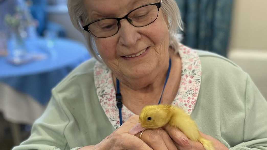 Highmarket House Care Home Banbury activities-carousel - 4