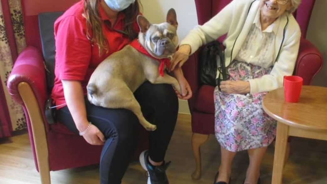 Hill House Nursing Home Care Home Farnham activities-carousel - 5
