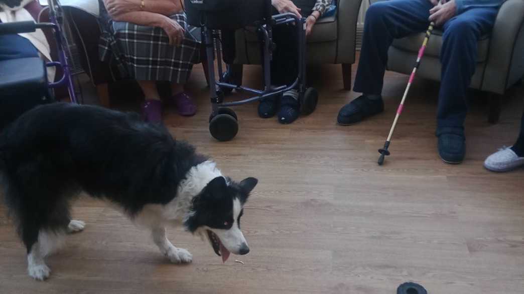 The Old Vicarage Care Home Grange Over Sands activities-carousel - 92