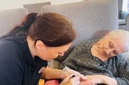 Holmer Care Home with Nursing Care Home Hereford  - 5