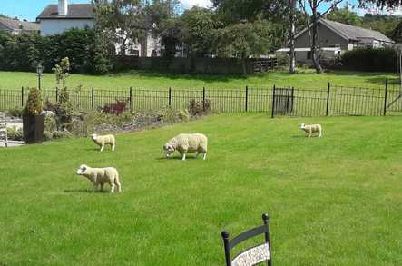 Belvedere Manor Care Home Colne  - 5