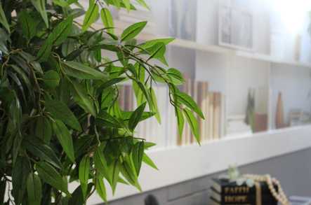 Kenyon Lodge Care Home Manchester  - 1