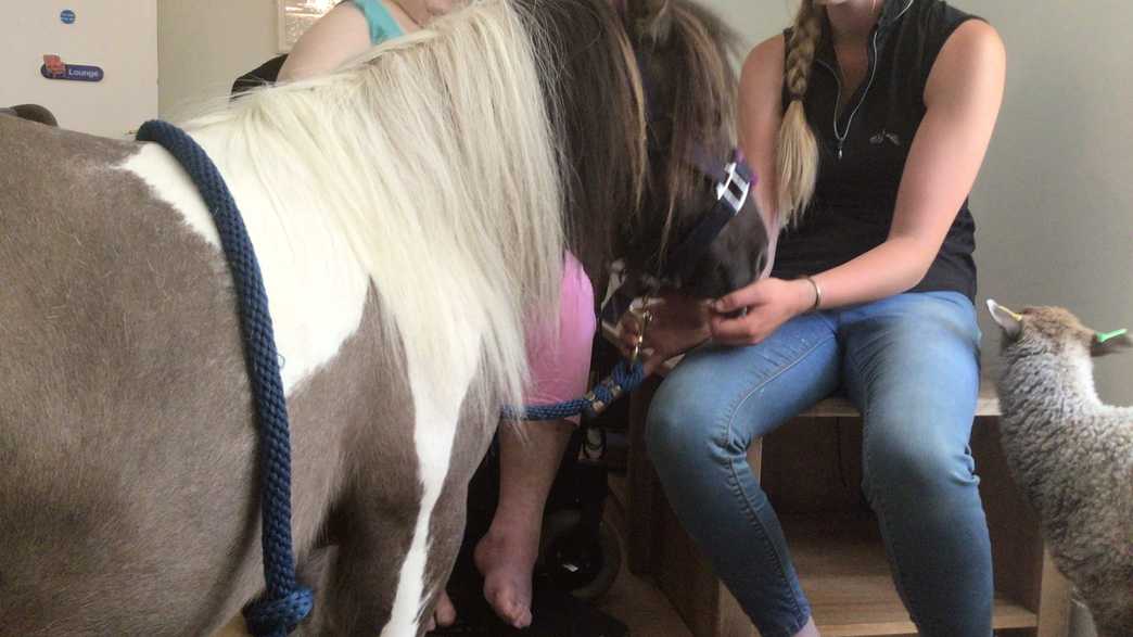 Coxwell Hall Care Home Faringdon activities-carousel - 3