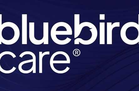 Bluebird Care Sandwell Home Care Oldbury  - 1