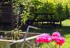 The Old Vicarage & The Willows Care Home - 3