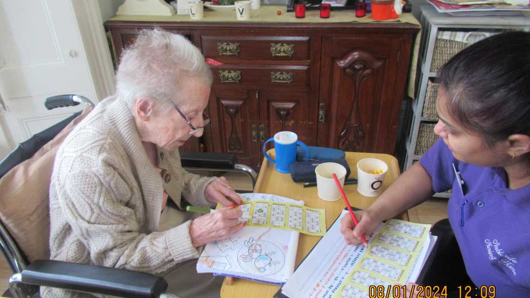 Ambleside Nursing Home Care Home Weston Super Mare activities-carousel - 6