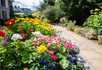 The Orchard Nursing Home - 5