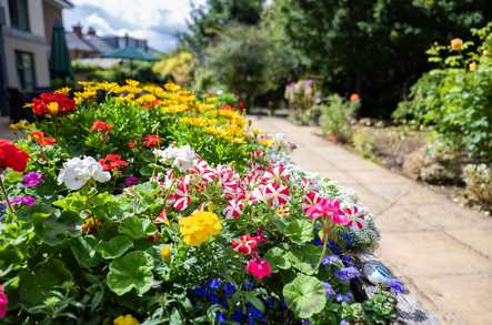 The Orchard Nursing Home Care Home St. Albans  - 5