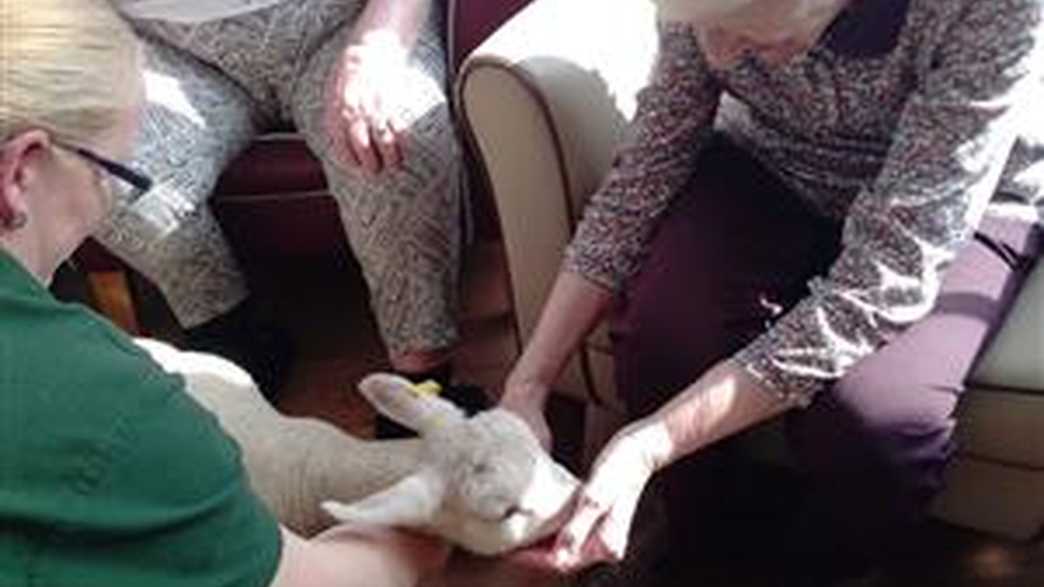 The Old Vicarage Care Home Grange Over Sands activities-carousel - 150