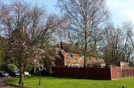 Knoll House Care Home Dunstable  - 1