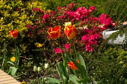 Linden House Care Home Care Home Rochdale  - 5
