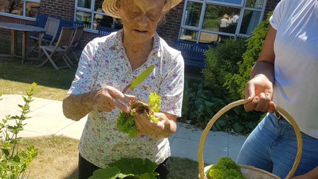 Magnolia Court Care Home London activities-carousel - 3