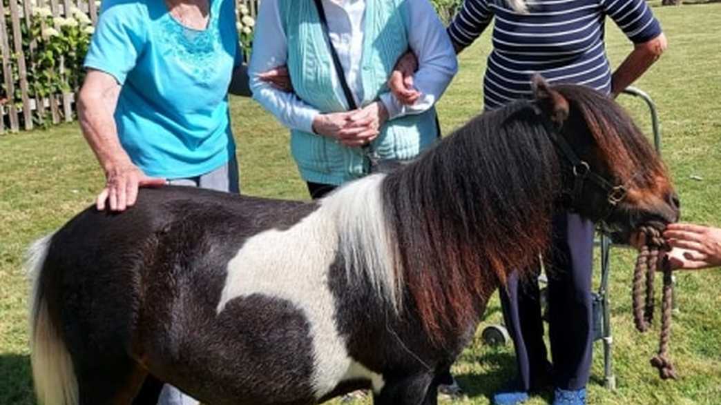 Margaret House Care Home Royston activities-carousel - 1