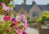 Newlands of Stow - 2