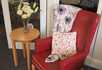Hollins Bank Care Home - 2
